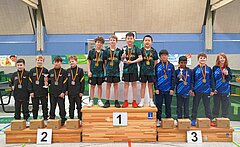 DTTB Talent Team Cup