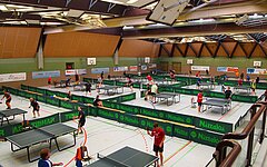 Top 24 E-B Klasse - Ergebnisse