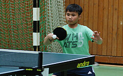 Bericht Verbandsentscheid Mini Meisterschaften