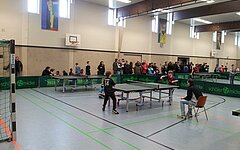 mini-Meisterschaften 2013